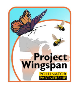 Project Wingspan
