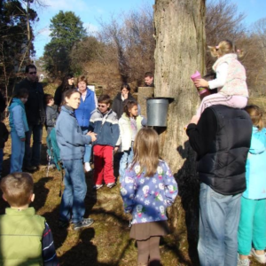 children and adults maple sugaring
