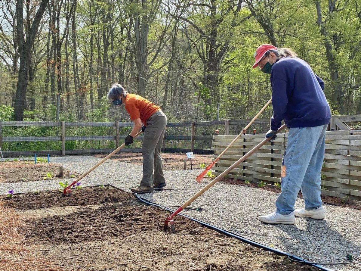 Composting: From Trash to Treasure | Tyler Arboretum