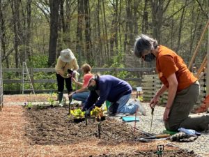 garden volunteers planting