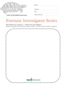 forensic investigator worksheet