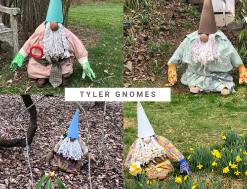 The Gnomes are Back in Town
