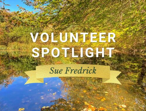 Naturalist at Heart: Meet Tyler Arboretum Volunteer Sue Fredrick