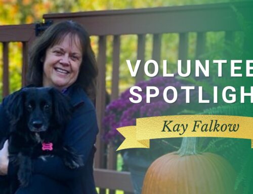 Modeling a Life of Service: Volunteer Spotlight Kay Falkow