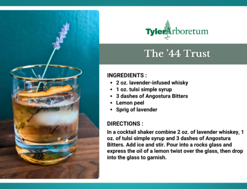 Recipes from Lucille’s Garden: The ’44 Trust Signature Cocktail