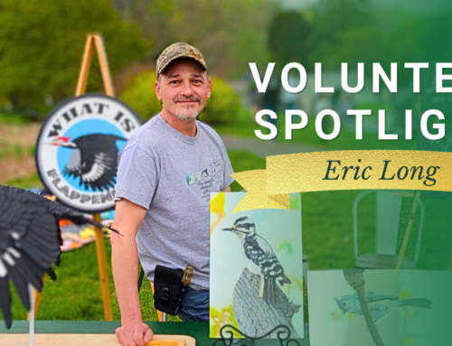 Bringing an Artist’s Eye to Nature: Volunteer Spotlight Eric Long