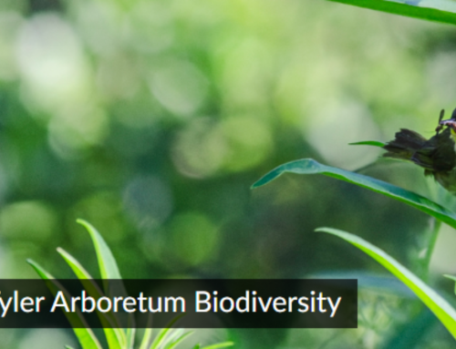 Join the Tyler Arboretum Biodiversity Project on iNaturalist