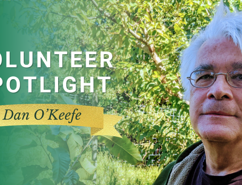 Conserving the American Chestnut with Care: Volunteer Spotlight Dan O’Keefe